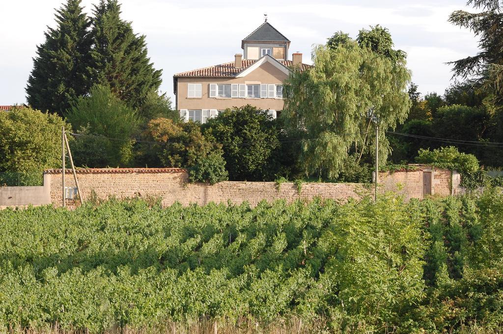 Le Montellier Bed and Breakfast Blacé Eksteriør billede